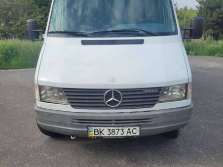 Мерседес Sprinter 1998 в Ровно на Automoto.ua Белый Мерседес Sprinter, объемом двигателя 2.9 л и пробегом 540 тыс. км за 7200 $, фото 1 на Automoto.ua