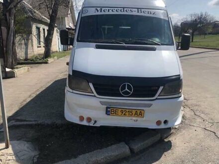 Мерседес Sprinter 2004 в Николаеве на Automoto.ua Белый Мерседес Sprinter, объемом двигателя 2.9 л и пробегом 9 тыс. км за 14500 $, фото 1 на Automoto.ua