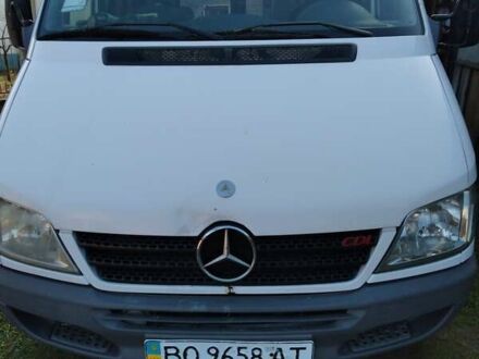 Мерседес Sprinter 2004 в Кременце на Automoto.ua Белый Мерседес Sprinter, объемом двигателя 2.1 л и пробегом 330 тыс. км за 6900 $, фото 1 на Automoto.ua