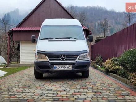 Мерседес Sprinter 2005 в Межгорье на Automoto.ua Белый Мерседес Sprinter, объемом двигателя 2.69 л и пробегом 600 тыс. км за 8500 $, фото 1 на Automoto.ua