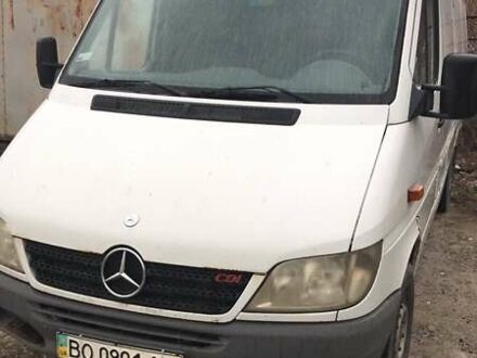 Мерседес Sprinter 2005 в Тернополе на Automoto.ua Белый Мерседес Sprinter, объемом двигателя 2.15 л и пробегом 485 тыс. км за 9500 $, фото 1 на Automoto.ua