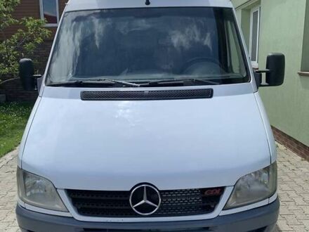 Мерседес Sprinter 2006 в Костополе на Automoto.ua Белый Мерседес Sprinter, объемом двигателя 2.2 л и пробегом 398 тыс. км за 8900 $, фото 1 на Automoto.ua