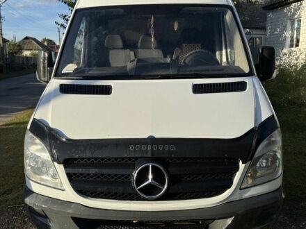 Мерседес Sprinter 2013 в Бурыне на Automoto.ua Белый Мерседес Sprinter, объемом двигателя 2.1 л и пробегом 377 тыс. км за 15000 $, фото 1 на Automoto.ua