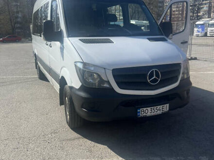 Мерседес Sprinter 2013 в Тернополе на Automoto.ua Белый Мерседес Sprinter, объемом двигателя 3 л и пробегом 350 тыс. км за 24300 $, фото 1 на Automoto.ua