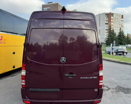Красный Мерседес Sprinter, объемом двигателя 3 л и пробегом 342 тыс. км за 33052 $, фото 1 на Automoto.ua