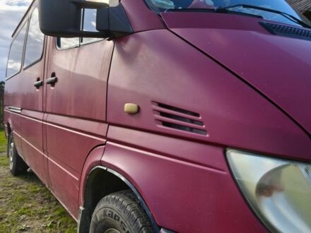 Мерседес Sprinter 2001 в Ивано-Франковске на Automoto.ua Красный Мерседес Sprinter, объемом двигателя 2.1 л и пробегом 22 тыс. км за 6400 $, фото 1 на Automoto.ua