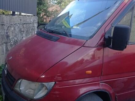 Мерседес Sprinter 2001 в Здолбунове на Automoto.ua Красный Мерседес Sprinter, объемом двигателя 2.7 л и пробегом 600 тыс. км за 4800 $, фото 1 на Automoto.ua