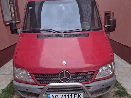 Мерседес Sprinter 2005 в Хусте на Automoto.ua Красный Мерседес Sprinter, объемом двигателя 2.2 л и пробегом 5 тыс. км за 8500 $, фото 1 на Automoto.ua