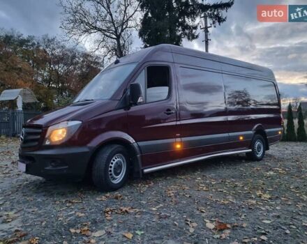 Красный Мерседес Sprinter, объемом двигателя 3 л и пробегом 336 тыс. км за 23999 $, фото 1 на Automoto.ua