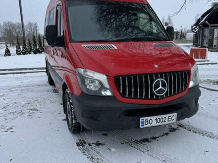 Мерседес Sprinter 2014 в Почаев на Automoto.ua Красный Мерседес Sprinter, объемом двигателя 2.2 л и пробегом 330 тыс. км за 19000 $, фото 1 на Automoto.ua