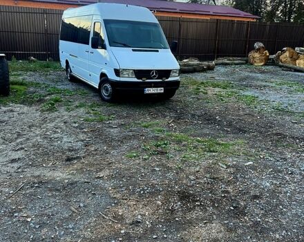 Мерседес Sprinter, объемом двигателя 2.9 л и пробегом 600 тыс. км за 10000 $, фото 1 на Automoto.ua