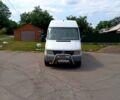 Мерседес Sprinter, объемом двигателя 2.9 л и пробегом 200 тыс. км за 6000 $, фото 1 на Automoto.ua