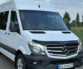 Мерседес Sprinter, объемом двигателя 3 л и пробегом 316 тыс. км за 30000 $, фото 1 на Automoto.ua