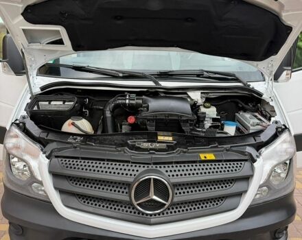 Мерседес Sprinter, об'ємом двигуна 0 л та пробігом 317 тис. км за 20500 $, фото 23 на Automoto.ua