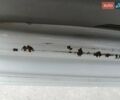Мерседес Sprinter, об'ємом двигуна 2.2 л та пробігом 450 тис. км за 34000 $, фото 66 на Automoto.ua