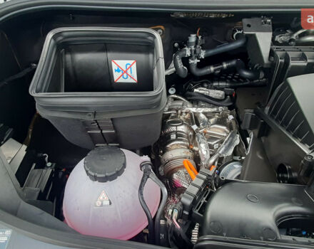 купити нове авто Мерседес Sprinter 2025 року від офіційного дилера Галичина-Авто Мерседес фото