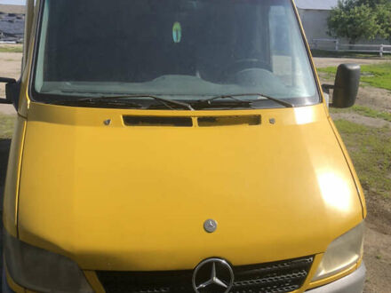 Мерседес Sprinter 2005 в Остоге на Automoto.ua Желтый Мерседес Sprinter, объемом двигателя 2.15 л и пробегом 403 тыс. км за 4999 $, фото 1 на Automoto.ua
