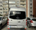 Серый Мерседес Sprinter, объемом двигателя 2.99 л и пробегом 344 тыс. км за 22000 $, фото 3 на Automoto.ua