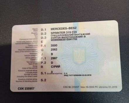 Серый Мерседес Sprinter, объемом двигателя 3 л и пробегом 299 тыс. км за 33000 $, фото 8 на Automoto.ua