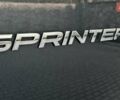 Серый Мерседес Sprinter, объемом двигателя 1.95 л и пробегом 316 тыс. км за 34900 $, фото 42 на Automoto.ua