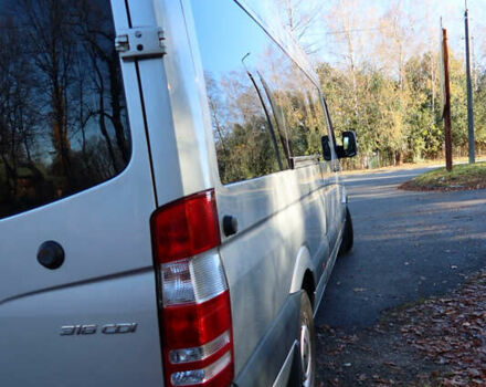 Серый Мерседес Sprinter, объемом двигателя 2.2 л и пробегом 317 тыс. км за 37000 $, фото 5 на Automoto.ua