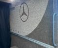Серый Мерседес Sprinter, объемом двигателя 2.99 л и пробегом 730 тыс. км за 31999 $, фото 51 на Automoto.ua