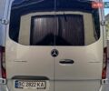 Серый Мерседес Sprinter, объемом двигателя 3 л и пробегом 300 тыс. км за 56500 $, фото 10 на Automoto.ua