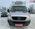 Сірий Мерседес Sprinter, об'ємом двигуна 0 л та пробігом 283 тис. км за 19900 $, фото 2 на Automoto.ua