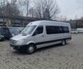 Серый Мерседес Sprinter, объемом двигателя 3 л и пробегом 256 тыс. км за 33500 $, фото 1 на Automoto.ua