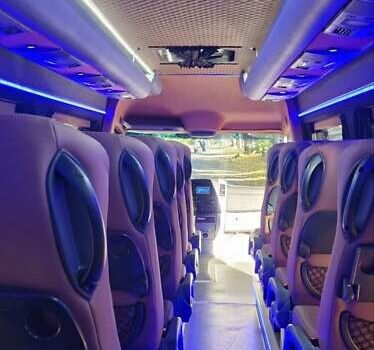 Серый Мерседес Sprinter, объемом двигателя 3 л и пробегом 377 тыс. км за 48800 $, фото 34 на Automoto.ua