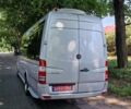 Серый Мерседес Sprinter, объемом двигателя 3 л и пробегом 377 тыс. км за 48800 $, фото 15 на Automoto.ua