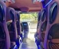 Серый Мерседес Sprinter, объемом двигателя 3 л и пробегом 377 тыс. км за 48800 $, фото 37 на Automoto.ua