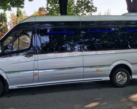 Серый Мерседес Sprinter, объемом двигателя 3 л и пробегом 377 тыс. км за 48800 $, фото 3 на Automoto.ua