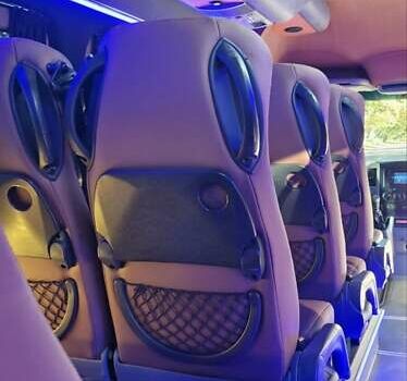 Серый Мерседес Sprinter, объемом двигателя 3 л и пробегом 377 тыс. км за 48800 $, фото 36 на Automoto.ua