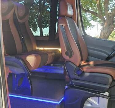 Серый Мерседес Sprinter, объемом двигателя 3 л и пробегом 377 тыс. км за 48800 $, фото 25 на Automoto.ua