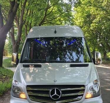 Серый Мерседес Sprinter, объемом двигателя 3 л и пробегом 377 тыс. км за 48800 $, фото 41 на Automoto.ua