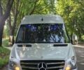 Серый Мерседес Sprinter, объемом двигателя 3 л и пробегом 377 тыс. км за 48800 $, фото 41 на Automoto.ua