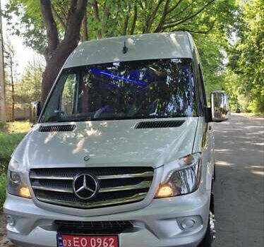 Серый Мерседес Sprinter, объемом двигателя 3 л и пробегом 377 тыс. км за 48800 $, фото 20 на Automoto.ua