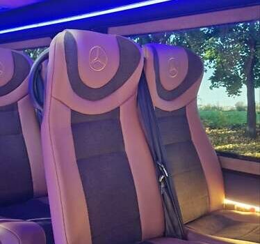 Серый Мерседес Sprinter, объемом двигателя 3 л и пробегом 377 тыс. км за 48800 $, фото 29 на Automoto.ua