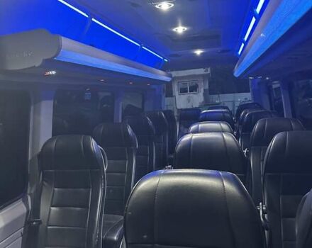 Серый Мерседес Sprinter, объемом двигателя 3 л и пробегом 450 тыс. км за 47000 $, фото 10 на Automoto.ua