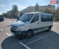 Серый Мерседес Sprinter, объемом двигателя 2.14 л и пробегом 300 тыс. км за 25000 $, фото 1 на Automoto.ua