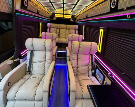 Серый Мерседес Sprinter, объемом двигателя 2.1 л и пробегом 270 тыс. км за 78000 $, фото 13 на Automoto.ua