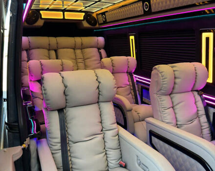 Серый Мерседес Sprinter, объемом двигателя 2.1 л и пробегом 270 тыс. км за 78000 $, фото 16 на Automoto.ua