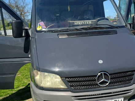 Мерседес Sprinter 2005 у Сокинянах на Automoto.ua Сірий Мерседес Sprinter, об'ємом двигуна 2.2 л та пробігом 1 тис. км за 10000 $, фото 1 на Automoto.ua
