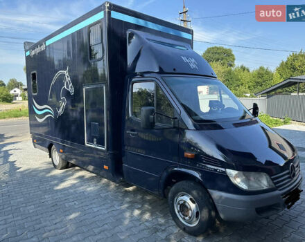 Синий Мерседес Sprinter, объемом двигателя 2.7 л и пробегом 220 тыс. км за 21500 $, фото 3 на Automoto.ua