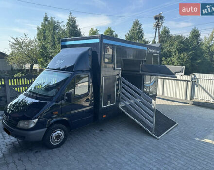 Синий Мерседес Sprinter, объемом двигателя 2.7 л и пробегом 220 тыс. км за 21500 $, фото 1 на Automoto.ua