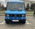 Синий Мерседес Sprinter, объемом двигателя 3 л и пробегом 390 тыс. км за 4800 $, фото 1 на Automoto.ua