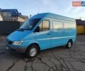 Синий Мерседес Sprinter, объемом двигателя 0 л и пробегом 228 тыс. км за 17500 $, фото 19 на Automoto.ua