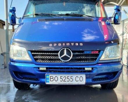 Синий Мерседес Sprinter, объемом двигателя 2.7 л и пробегом 263 тыс. км за 24500 $, фото 10 на Automoto.ua