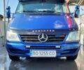 Синий Мерседес Sprinter, объемом двигателя 2.7 л и пробегом 263 тыс. км за 23000 $, фото 9 на Automoto.ua